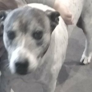 Meet your Posher, Mykel